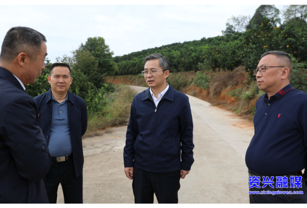 走基层 找问题 想办法 促发展|以产业高质量发展助力乡村振兴