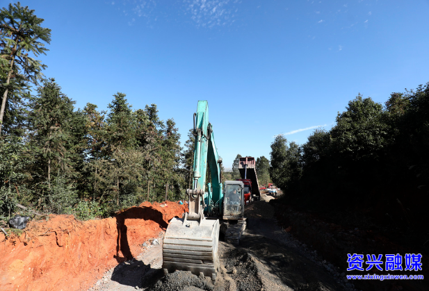唐洞街道高牌村：建好“产业路”  拓宽“致富路”