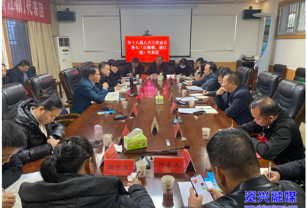 两会动态｜龙柏武参加人大代表团分团审议