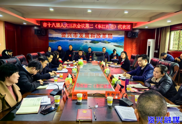 两会动态 | 人大代表参加第二次分团审议