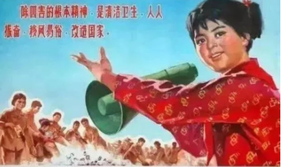 关于爱国卫生运动，你了解多少？