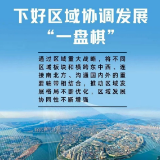 瞭望·治国理政纪事丨下好区域协调发展“一盘棋”