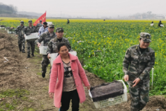 回龙山瑶族乡：民兵助力蔬菜采摘