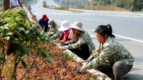 我市城市大提级工作获郴州通报表彰