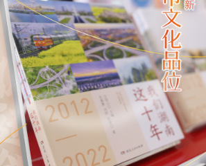 公益海报 | 湖南：保护版权 促进创新