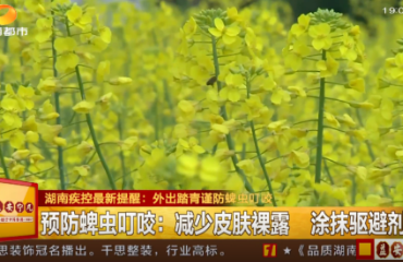 湖南疾控最新提醒：小心这种虫，严重可致命！
