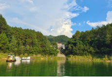 滁口国有林场获评“省级森林康养基地”