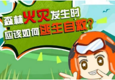 【森林防火】这有份森林防火须知，请查看→