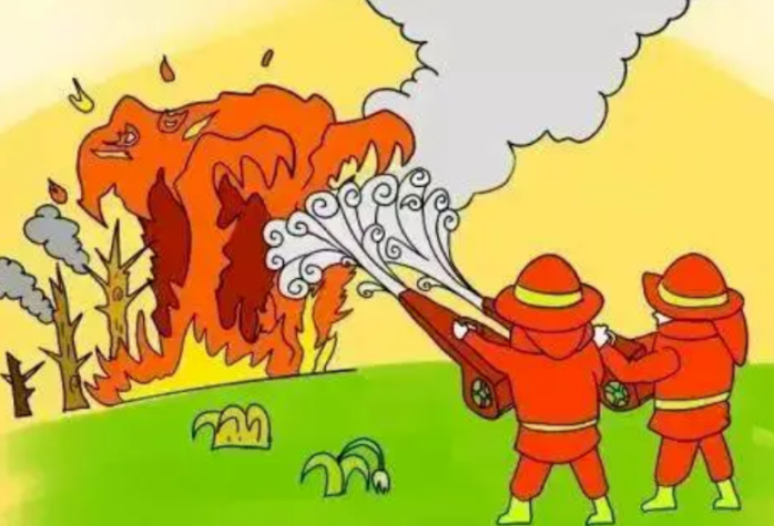 防火宣传丨必知！森林防火攻略