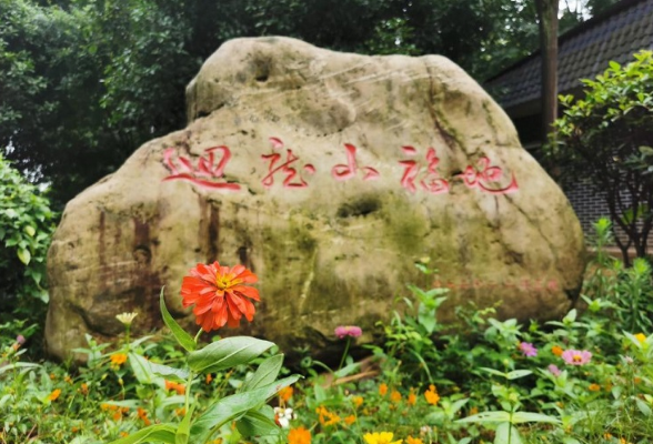 回龙山瑶族乡：花开半夏 助力旅发