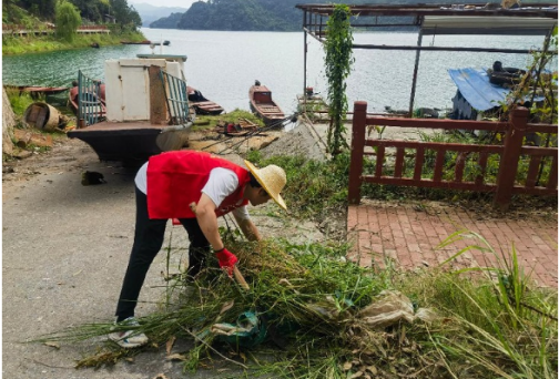 滁口镇开展农村人居环境集中整治行动