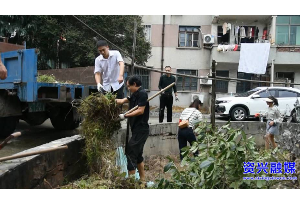 市林业局开展“网格化”卫生清理志愿服务活动