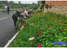 当好主力军 办好旅发会·喜迎旅发看变化 | 兴宁镇：绿化美化添新景  人居环境焕新颜