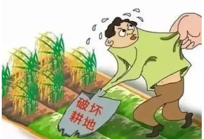 耕地保护，红线不能踩！