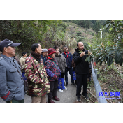 小水果种植培训进乡村  残疾人增收有“技”可循