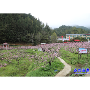 春分巧遇龙抬头  不负农时不负春