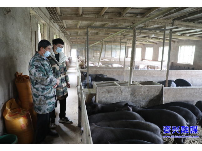 资兴是我家，同心共建靠大家丨数控转养猪，资兴00后“新农人”用新技术点亮兴农路