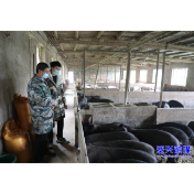 资兴是我家，同心共建靠大家丨数控转养猪，资兴00后“新农人”用新技术点亮兴农路