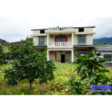 开局八好·兴城乡强区域丨方寸庭院有“赚头” “长”出乡村新图景