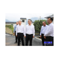 走基层 找问题 想办法 促发展|聚焦特色文旅小镇 全面推进乡村振兴
