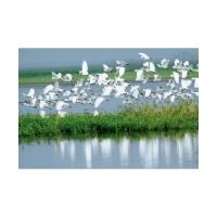 今天，《人民日报》头版头条聚焦湖南，点赞了资兴