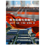 我为招商引资做什么｜雷丰华：引进一个 带来一批 聚集一群