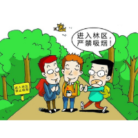 应急科普丨森林防火攻略请收下