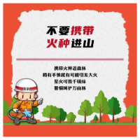 夏日炎炎，谨防森林“上火”！这些森林防火知识请查收