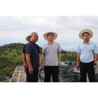 当好主力军 办好旅发会  | 全力推进项目建设 加快乡村风貌提质