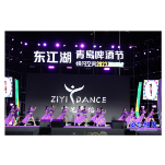 欢聚资兴 干杯世界丨 “炫动资兴”舞林大会精彩纷呈