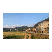 我的美邻是“最美家庭”丨6年，他为何让负债150万的山村庆丰收