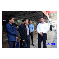 走基层·新春| 全力以赴开好局 奋力夺取“开门红”