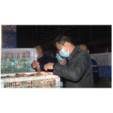 资兴开展食品安全检查行动