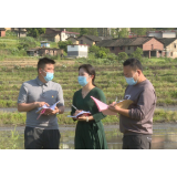 社会治理看资兴丨三都镇:自治“二三四” 村民来理事