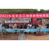 45万余尾“净水”鱼苗游入东江湖