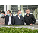 聚焦十大重点工作·乡村大振兴 | 江波到资兴调研：推进重点项目建设 走好工旅融合之路