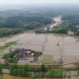 聚焦十大重点工作·乡村大振兴 | 蓼江镇：水稻种植机械化 助力现代农业发展