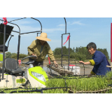 聚焦十大重点工作·乡村大振兴 | 我市农技课搬到田间地头 