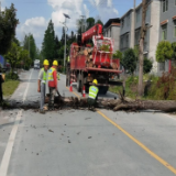 市公路建设养护中心及时清理行道枯死树木