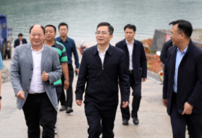 聚焦十大重点工作·乡村大振兴 | 杨理诚到黄草调研：绘就一幅“布局美、环境美、产业美、生活美”的新农村画卷