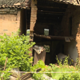聚焦十大重点工作·风险大防控丨唐洞街道高牌村开展房屋安全隐患排查近600栋