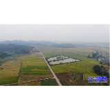 唐洞街道镜塘村：2000亩高标准农田开建