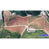 东江库区果树研究所：排水科学  降低损失 