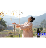 这株美了500年的银杏树  今年初冬又穿上了“金衣裳”  