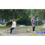 养犬有新规 文明守底线