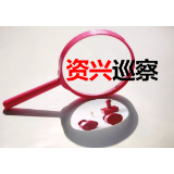 中共资兴市人民法院党组关于巡察整改进展情况的通报