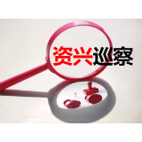 中共资兴市公安局委员会关于巡察整改进展情况的通报