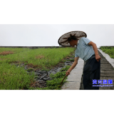 黄加平：大壁垅水库安全防护的“第一道防线”
