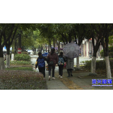 寒潮来袭 我市将迎持续低温冰冻天气