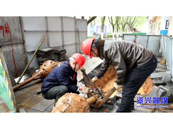 10kV新景线新建工程：战严寒 施工忙